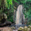 Explore the Wonders of Nature on Your Next Tropical Island Adventure