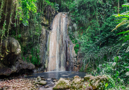 Explore the Wonders of Nature on Your Next Tropical Island Adventure